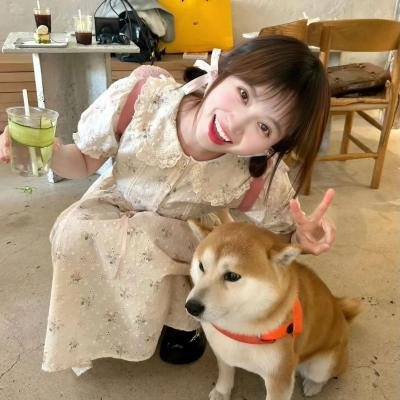 危险的恋情